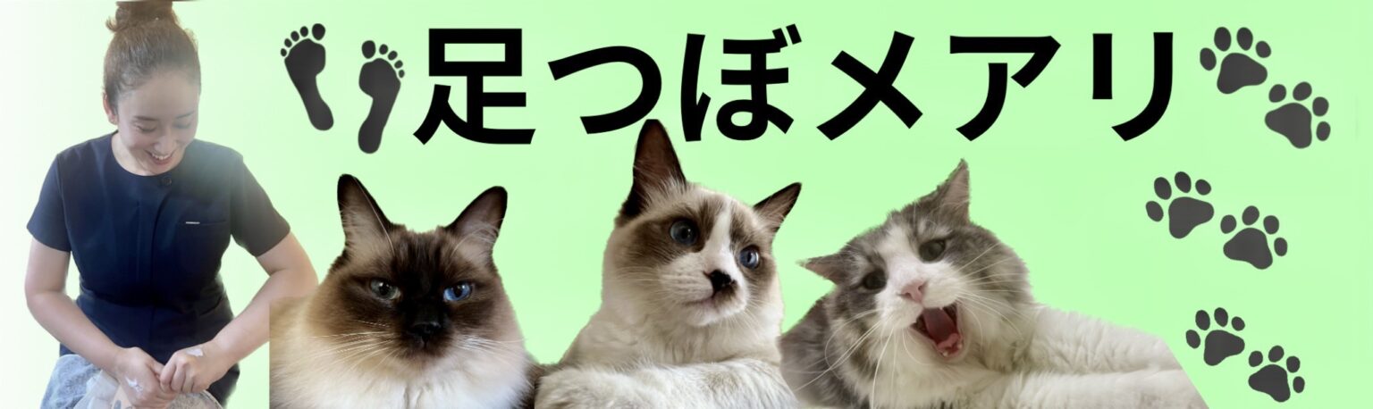 台湾式足つぼ　足つぼメアリ 様のロゴ