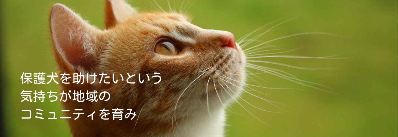 ホームページ制作サービスを紹介するメインビジュアル