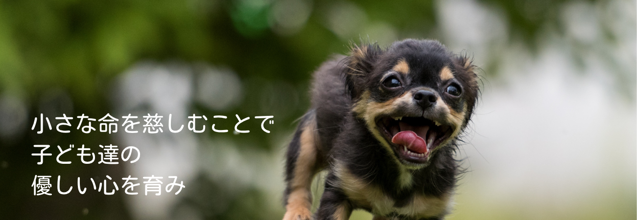 ホームページ制作サービスを紹介するメインビジュアル