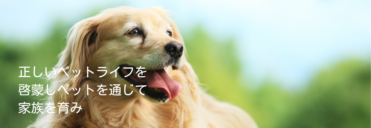 ホームページ制作サービスを紹介するメインビジュアル