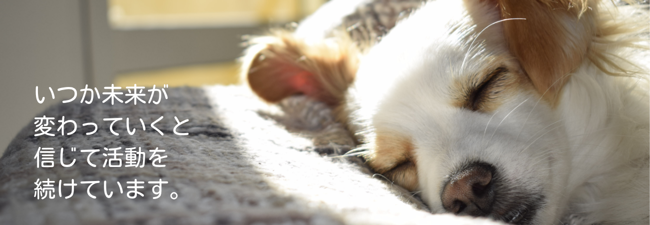 ホームページ制作サービスを紹介するメインビジュアル